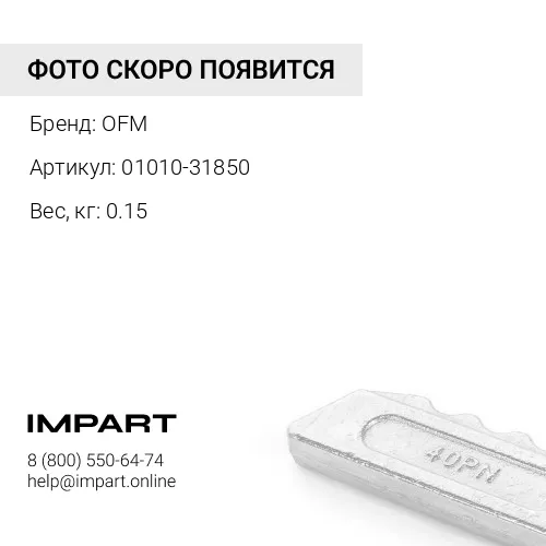 01010-31850 болт OFM