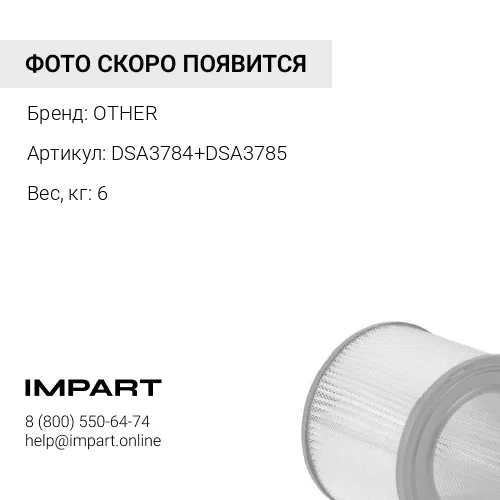 DSA3784+DSA3785 ВОЗДУШНЫЙ ФИЛЬТР В СБОРЕ OTHER
