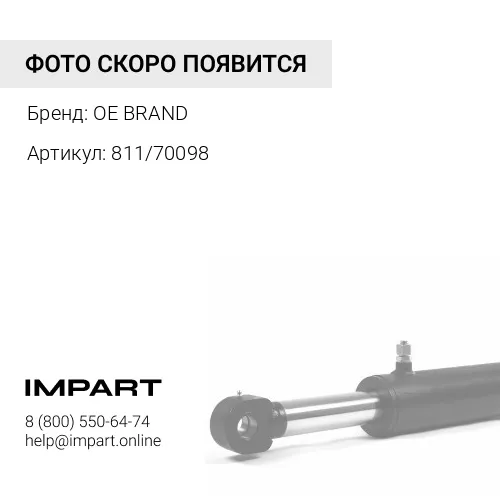 811/70098 Палец OE BRAND