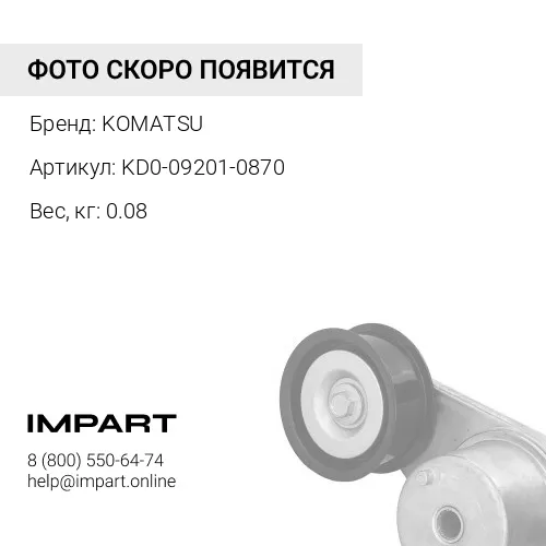 KD0-09201-0870 ПОДШИПНИК KOMATSU