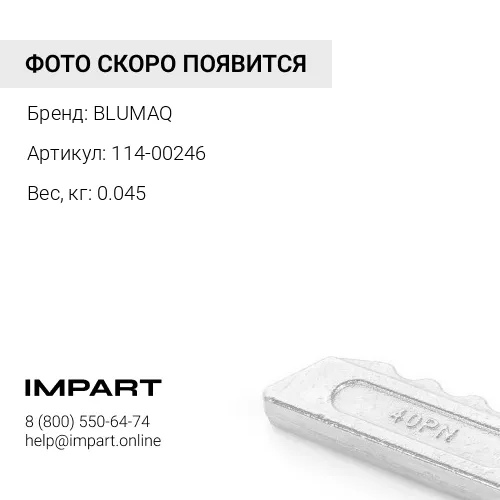 114-00246 Стопорное кольцо