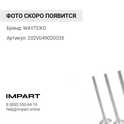 202V049020035 Колпачок маслосъемный выпускной MC11 T5G WAYTEKO PREMIUM WAYTEKO