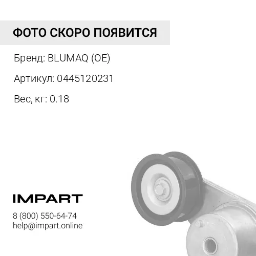 0445120231 ИНЖЕКТОР