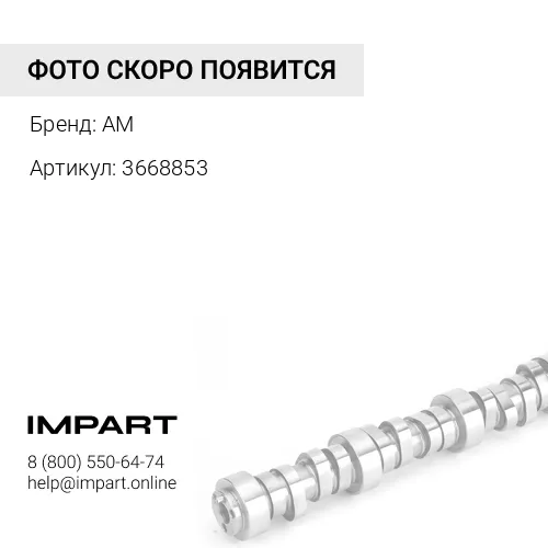 3668853 Вкладыш вала распределительного CAT С-4.4/3054