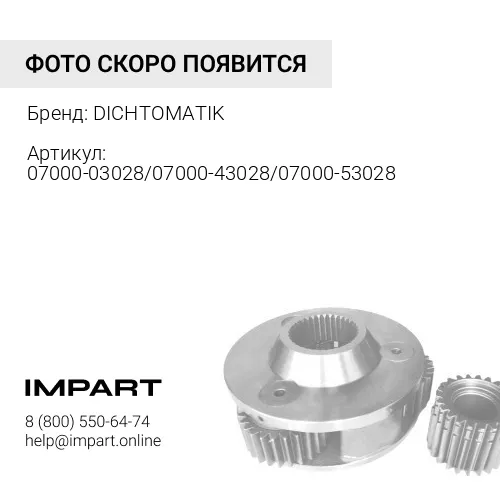 07000-03028/07000-43028/07000-53028 О-кольцо DICHTOMATIK