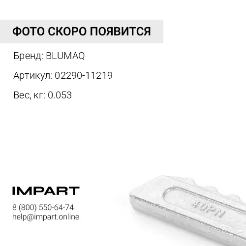 02290-11219 Гайка BLUMAQ