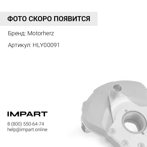 HLY00091 S Демпфер регулятора люфта Motorherz