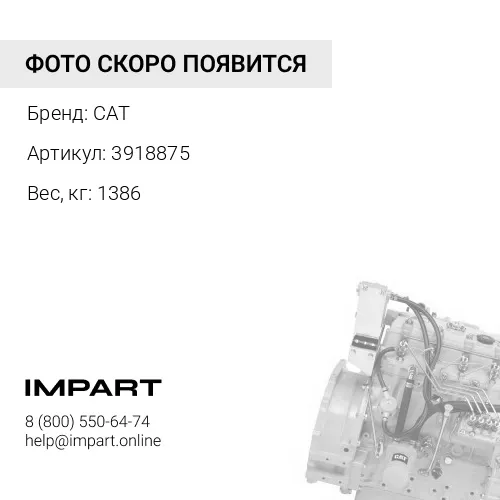 3918875 Двигатель в сборе CAT