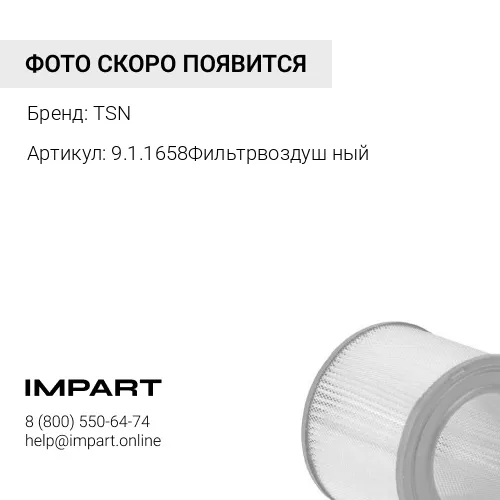 9.1.1658 Фильтр воздушный TSN