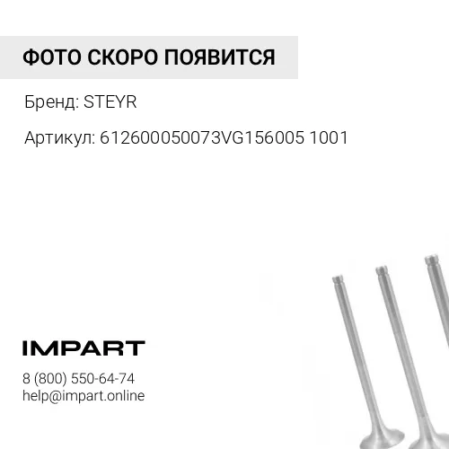 612600050073VG1560051001 Клапан впускной 612600050073/61460050042 VG1560050042/SP132537 STEYR