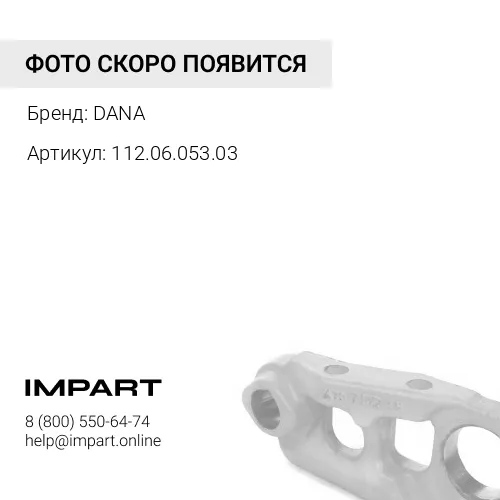 112.06.053.03 Ступица 112.06.053.03 DANA DANA