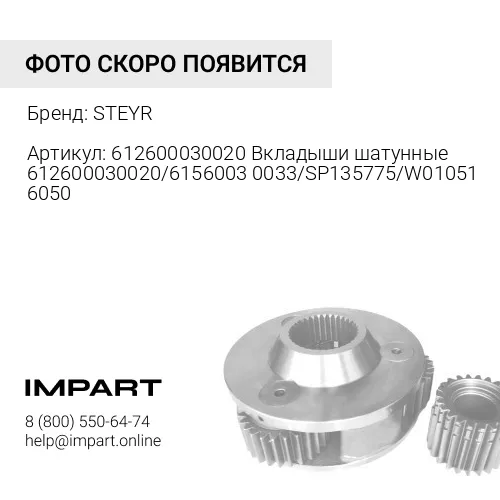 612600030020 Вкладыши шатунные 612600030020/61560030033/SP135775/W010516050 STEYR