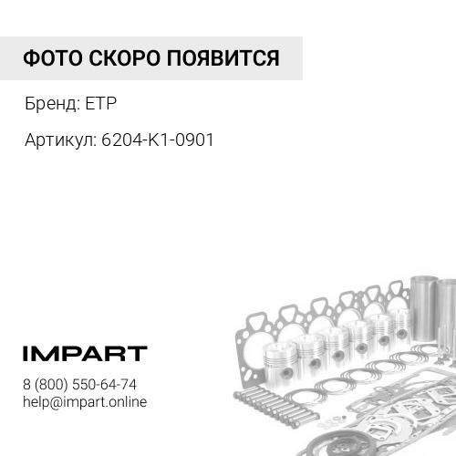 6204-K1-0901 К-кт прокладок гбц ETP