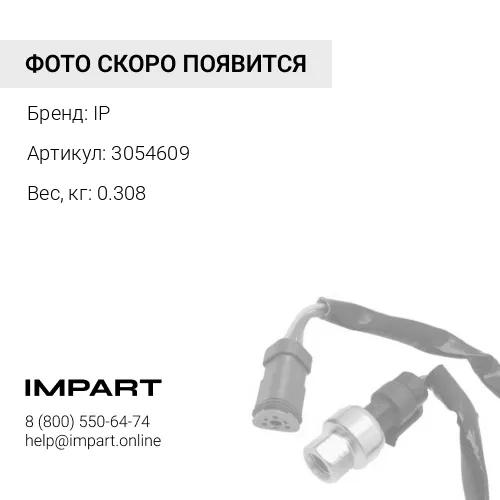 3054609 Соленоид IP