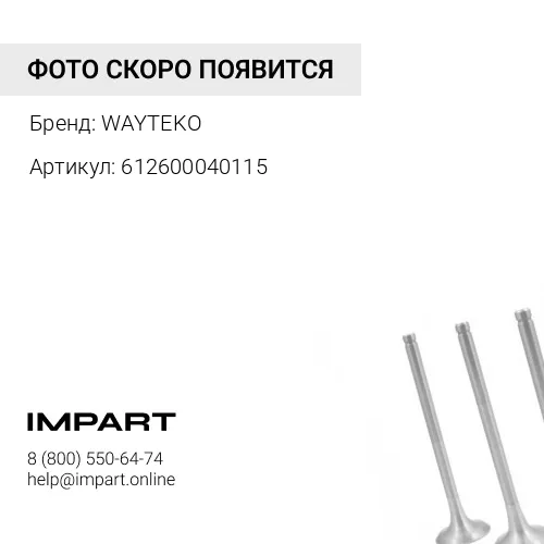 612600040115 Колпачок маслосъемный выпускной (С ЮБКОЙ) WAYTEKO PREMIUM WAYTEKO