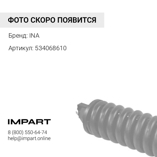 534068610 Натяжитель ремня INA