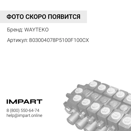 803004078P5100F100CX Насос гидравлический P5100-F100CX/BL0351/803004078 WAYTEKO