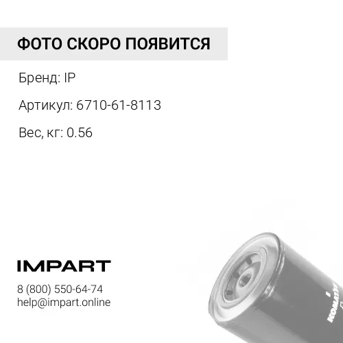 6710-61-8113Фильтр антикоррозийный IP
