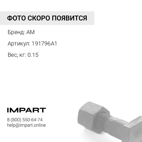 Шайба 191796A1