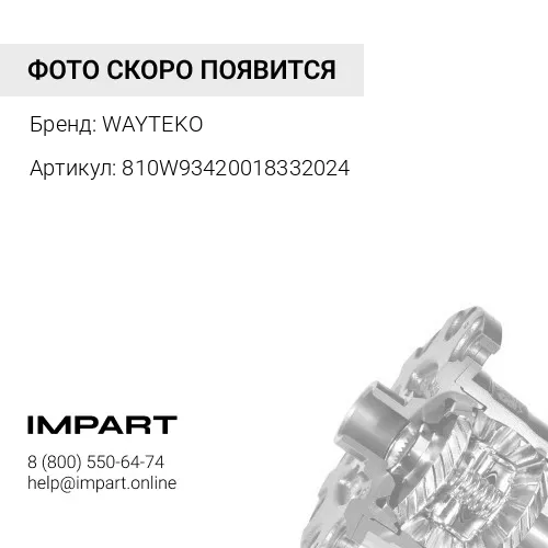 810W93420018332024 Подшипник дифференциала MCY11MCY13 T5G WAYTEKO PREMIUM WAYTEKO