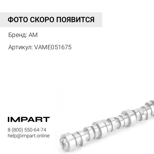 VAME051675 Вкладыш распредвала 6D22 VAME051675