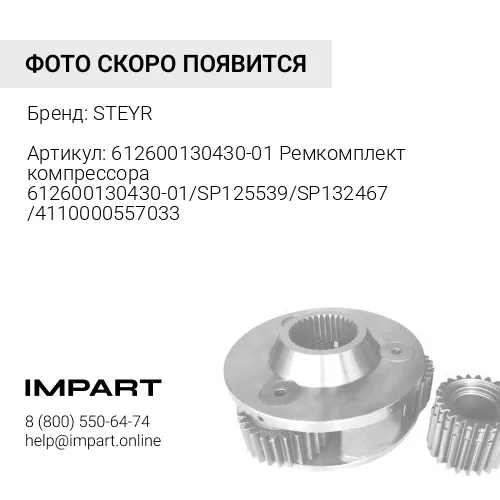 612600130430-01 Ремкомплект компрессора 612600130430-01/SP125539/SP132467/4110000557033 STEYR