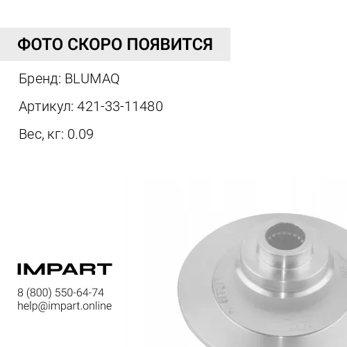 421-33-11480 Уплотнение BLUMAQ