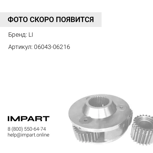 06043-06216 Подшипник LI