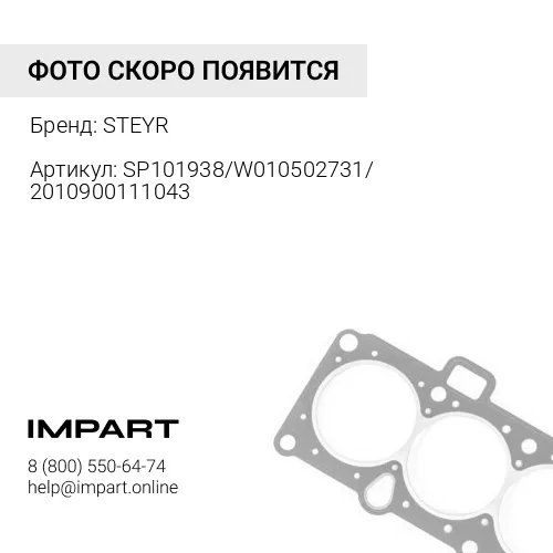 SP101938/W010502731/2010900111043 Прокладка масляного насоса 614070055 STEYR