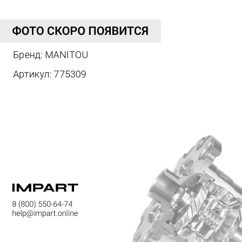 775309 Сателлит дифференциала MANITOU