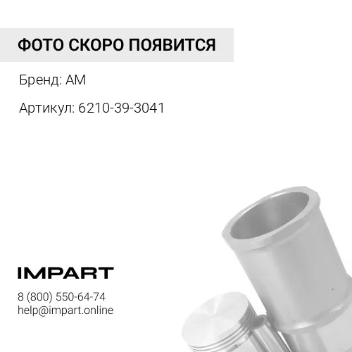 6210-39-3041 Шатунные вкладыши AM