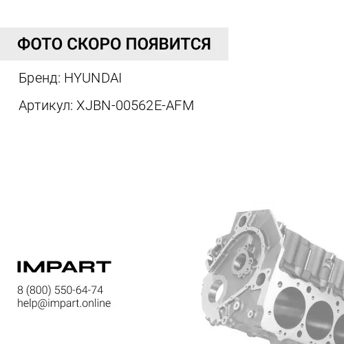 XJBN-00562E-AFM XJBN-00562E-AFM (R) Блок цилиндров HYUNDAI
