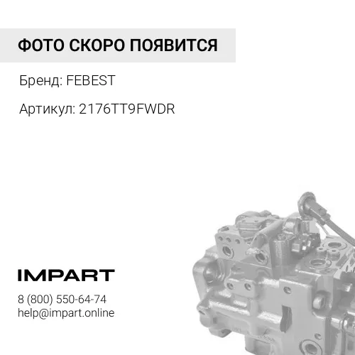 2176TT9FWDR Поршень суппорта