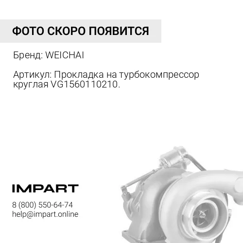 VG1560110210.1 Прокладка на турбокомпрессор круглая VG1560110210.1 WEICHAI
