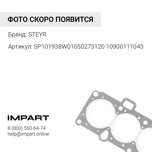 SP101938W0105027312010900111043 Прокладка масляного насоса 614070055 STEYR