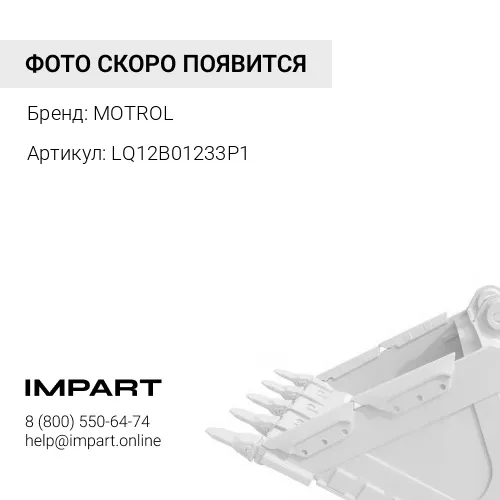 Палец LQ12B01233P1 MOTROL
