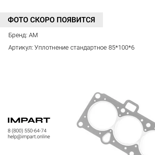 Уплотнение стандартное 85*100*6