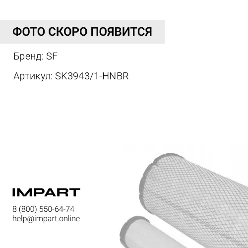 SK3943/1-HNBR Фильтр SF