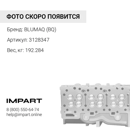 3128347 ГОЛОВКА В СБОРЕ