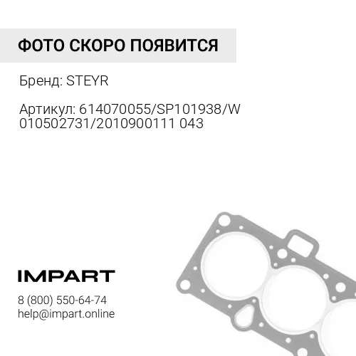 614070055/SP101938/W010502731/2010900111043 Прокладка масляного насоса STEYR