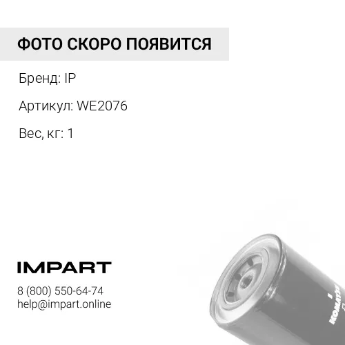 WE2076 Фильтр антикоррозийный IP