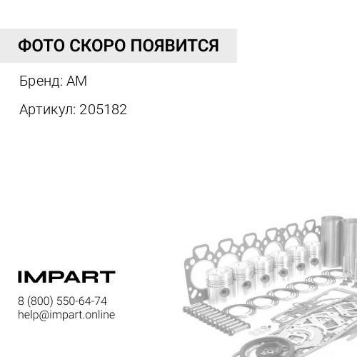205182 Кольцо уплотнительное