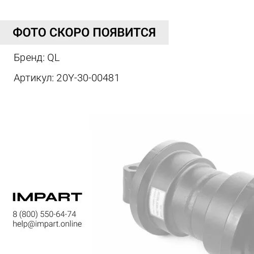 20Y-30-00481 20Y-30-00481-QL(20Y-30-00481) Каток поддерживающий QL