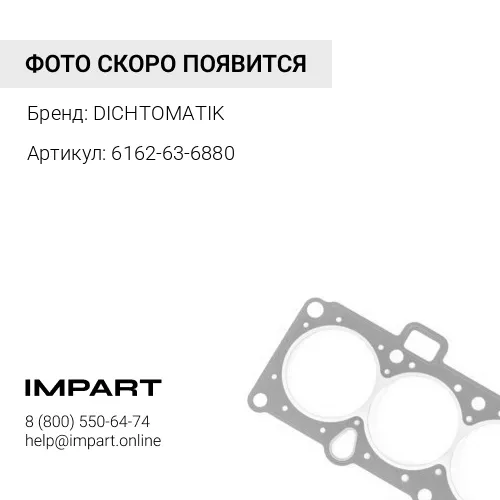 6162-63-6880 О-кольцо DICHTOMATIK