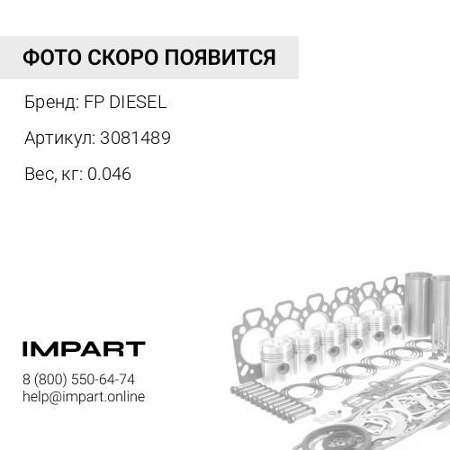 Уплотнение (3081489)