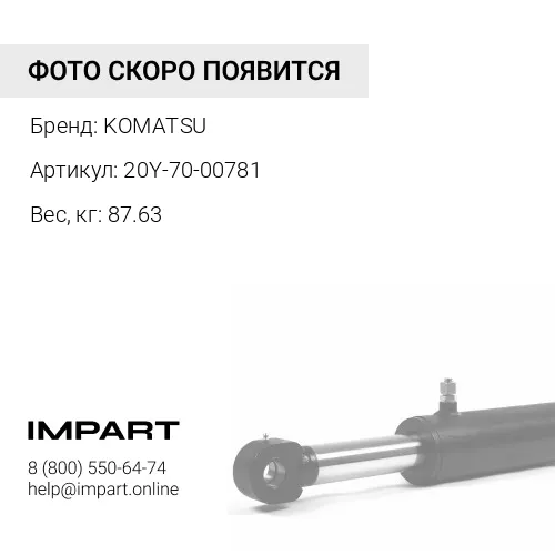 20Y-70-00781 ЦЕПЬ В СБОРЕ