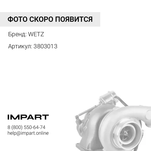 3803013 Турбокомпрессор, 3803013 WETZ WETZ