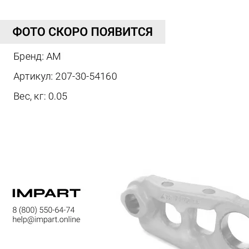207-30-54160 уплотнение AM