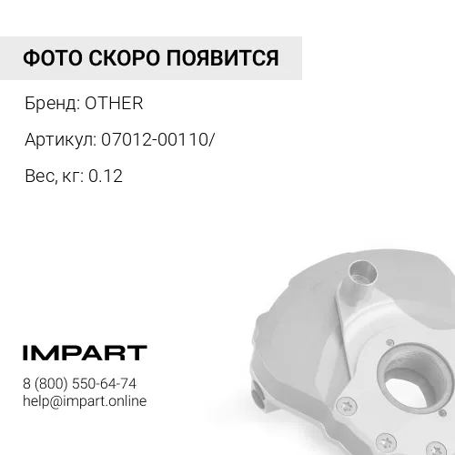 07012-00110/ МАСЛОУПЛ. ПРОКЛАДКА OTHER
