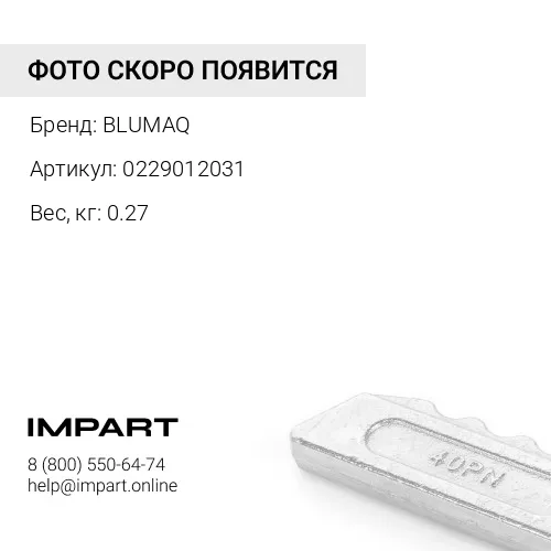 0229012031 Шестигранная гайка